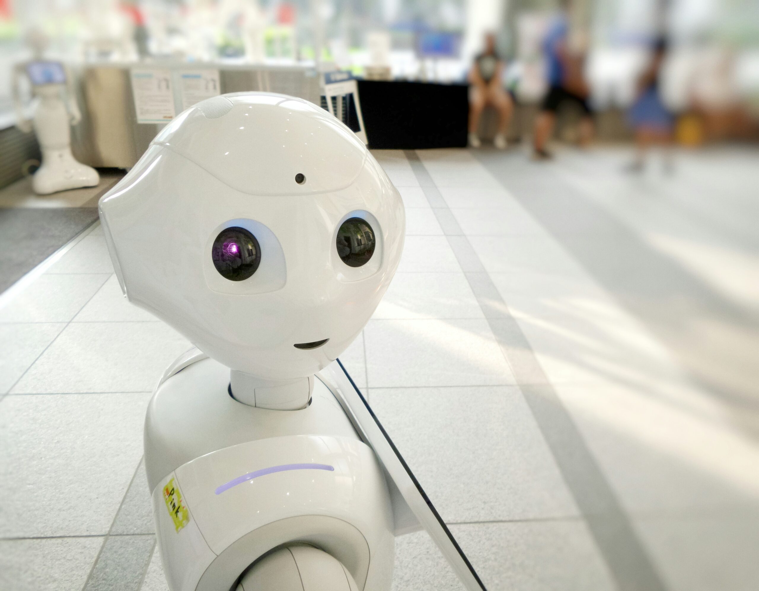 Pepper Robot looking at the camera