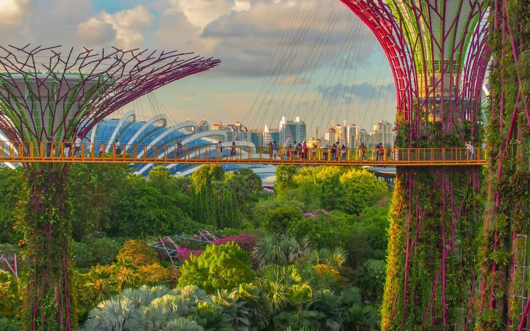 Google’s New Data Centre in Singapore: A Step Forward in Sustainability and Innovation