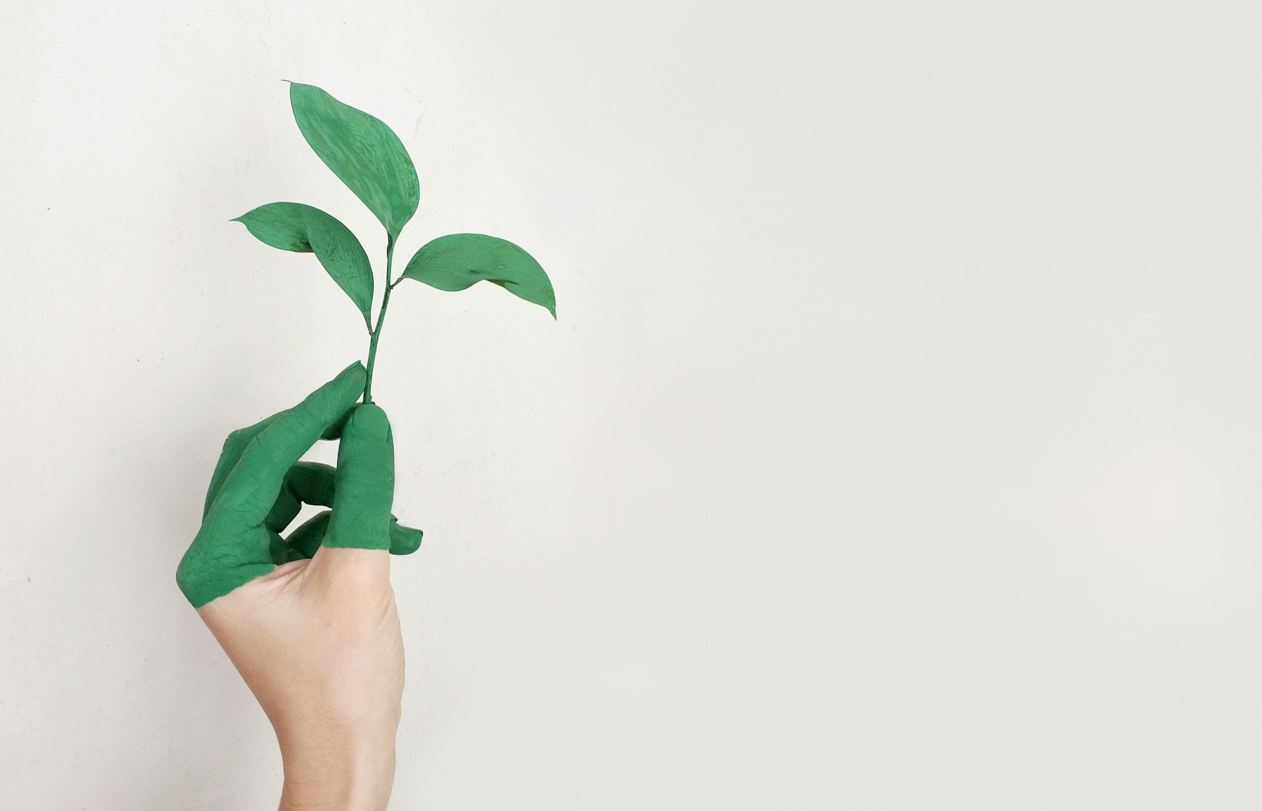 A hand holding a plant and the fingers are painted green